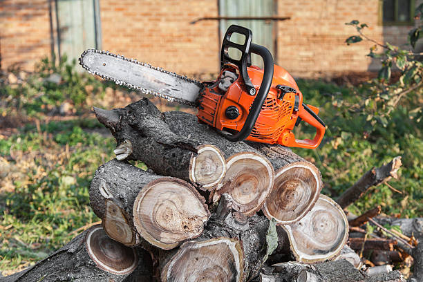  Jenks, OK Tree Service Pros